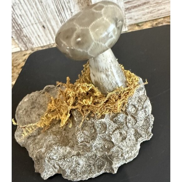 Petoskey Stone Polished Mushroom On A Base Handmade - Picture 2 of 7
